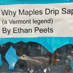 Why Maples Drip Sap (a Vermont legend)